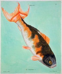 Le Noriroux》，18世纪 作者 弗朗索瓦·尼古拉斯·马丁内