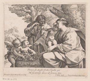圣婴和葡萄的圣婴家庭
Portan gli Angeli i frutti（......）（物品上的标题） 作者 Lodewijk XIII（法兰克国王）
