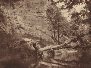 河岸，约1855年。