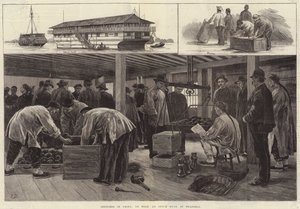 在中国的草图，在上海的鸦片绿巨人 作者 弗兰克·达德