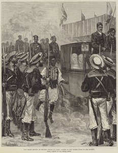 英国军队在开罗的盛大回顾，后宫的女士们将参加评论 作者 Frank Dadd