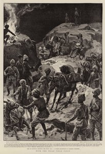 与Tirah Field Force合作