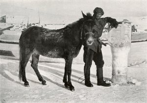 穆勒·拉尔·汗（Gran With Mule Lal Khan），1913年，1913年 作者 弗兰克·德本汉