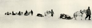 1911年3月，1913年的小马 作者 弗兰克·德本汉