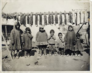鲑鱼行下 作者 弗兰克·H·诺威尔