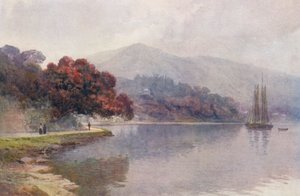 新西兰：绽放的波胡图卡瓦（Pohutukawa），旺加罗阿港（彩色石版画 作者 弗兰克·H·赖特