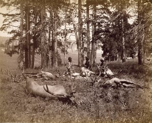 麋鹿猎人，黄石，1880年（蛋白银印）