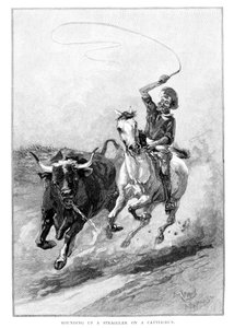 1886年，在澳大利亚的牛群奔跑中追赶一只流浪者 作者 弗兰克·马洪尼