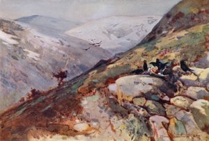 Near Kielder (colour litho) 作者 弗兰克·索斯盖特