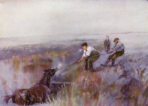 诺福克·布罗斯（Norfolk Broads）：一天中的所有工作