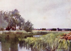 诺福克·布罗斯（Norfolk Broads）：沼泽干草（Marsh Hay）-耶尔（Yare）上的选址 作者 弗兰克·索斯盖特