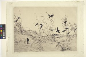 黑鸟与灯心草（纸本水墨） 作者 弗兰克·韦斯顿·本森