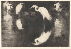 Dark Pool P. 189 Pub.St. 作者 弗兰克·韦斯顿·本森