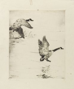 落雁 作者 弗兰克·韦斯顿·本森