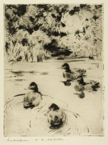 小蓝莓 作者 弗兰克·韦斯顿·本森