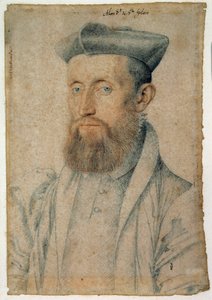 Mellin de Saint-Gelais（或Saint Gelais，Saint Gelays，Saint Gelays，Saint-Gelais，Sainct Gelais）（1495-1558），法国诗人的肖像。 克卢埃·弗朗索瓦（Clouet Francois，1515-1572 年）用鲜血和黑石作画，约 1500 年。尚蒂伊，孔德博物馆 作者 François Clouet