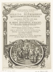 密涅瓦称赞作家
扉页：Johannes Carolus de Roo, Dissertatio juridica inauguralis, ad tit. 作者 弗朗索瓦·范·布莱斯维克