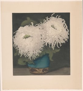 两朵菊花