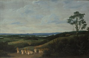 《巴西风景》，1650年。