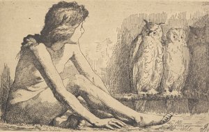 猫头鹰女孩 作者 弗兰斯·施瓦茨