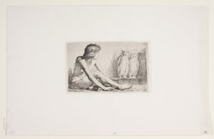 猫头鹰女孩 作者 弗兰斯·施瓦茨