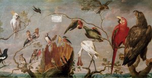 弗兰斯·斯奈德斯 (Snijders) (1579-1657) 的鸟类音乐会绘画 17 世纪马德里，普拉多博物馆