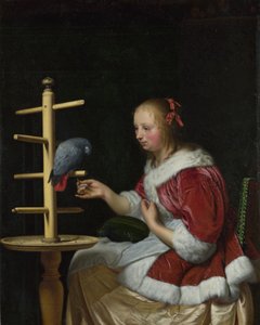 穿红衣的女人喂鹦鹉，约1663年