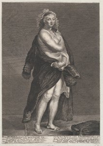 鲁本斯的第二任妻子Helena Fourment的肖像，在她的肩膀上穿着一件毛皮大衣，1728年。 作者 弗朗斯·范·斯坦帕特