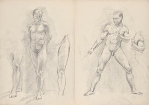 男性文件