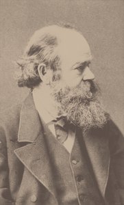 作曲家罗伯特·冯·霍恩斯坦（Robert von Hornstein）的肖像1833-1890。 作者 弗朗茨·汉夫斯坦格尔