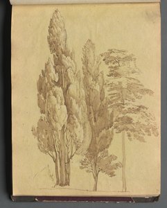 罗马及周边地区景观专辑，景观研究，第15a页：树木。 作者 弗朗茨·约翰·海因里希·纳多普