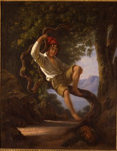 1820年代，一个小男孩爬树