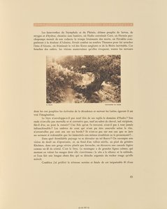 独奏开花的栗树 作者 弗雷德里克·博伊索纳斯