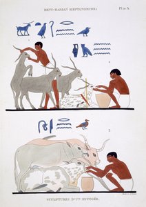 《兽医工作》，出自底比斯壁画稀有记录，记录了弗雷德里克·卡约（Frederic Cailliaud，1787-1869 年）于 1819 年至 1822 年第二次访问埃及时的情况，彩色平版印刷
