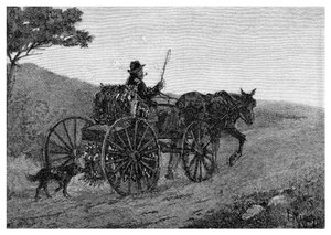 一只Colac兔子捕手，1886年。
