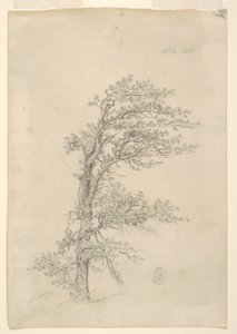 沥青松 作者 弗雷德里克·埃德温·丘奇