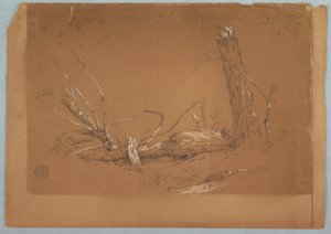 绘画，一棵折断的枯树，1855-65 年 作者 弗雷德里克·埃德温·丘奇