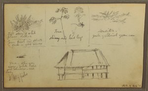 素描，一个堡垒；背面：植物素描，房屋，1857 年 作者 弗雷德里克·埃德温·丘奇