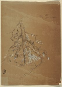 素描，一棵参天的常青树，加拿大大马南，1851 年 8 月 作者 弗雷德里克·埃德温·丘奇