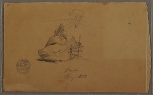 绘画，哥伦比亚潘迪的山羊，1853 年 7 月 作者 弗雷德里克·埃德温·丘奇