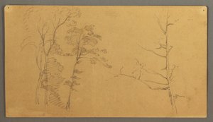 素描，带枯树上部的群树，1866 年 作者 弗雷德里克·埃德温·丘奇