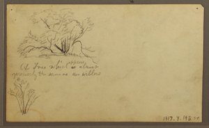 绘画，《哨所上的小屋》，厄瓜多尔瓜亚基尔，1857 年 5 月 作者 弗雷德里克·埃德温·丘奇
