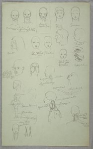 素描，解剖研究，1865-70 年 作者 弗雷德里克·埃德温·丘奇