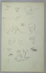 素描，解剖研究，1865-70 年 作者 弗雷德里克·埃德温·丘奇