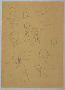 素描，解剖研究，1865-70 年 作者 弗雷德里克·埃德温·丘奇