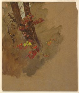 素描，植物研究，1860-70 年 作者 弗雷德里克·埃德温·丘奇