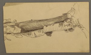 绘图，枯树干底部剖面，1877 年 作者 弗雷德里克·埃德温·丘奇