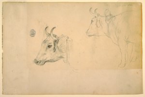 绘图，牛，1844 年 9 月 作者 弗雷德里克·埃德温·丘奇