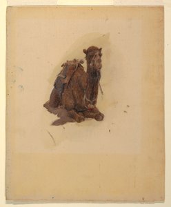 绘画，蹲伏的单峰驼，1868 年 作者 弗雷德里克·埃德温·丘奇