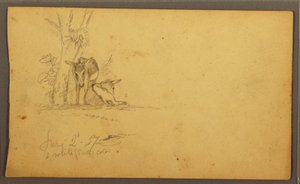 绘画，驴子，1857 年 6 月 2 日 作者 弗雷德里克·埃德温·丘奇